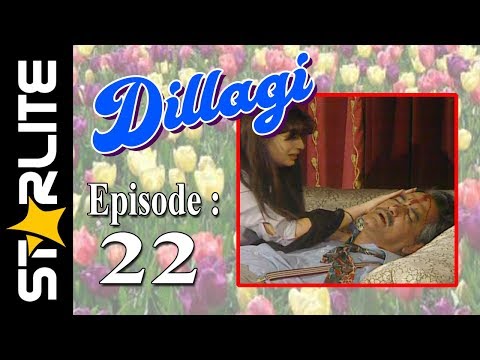 Dillagi, Episode 22, Top Pakistani Drama, URDU Comedy, Drama Serial Kashif Mehmood, Naseem Vicky