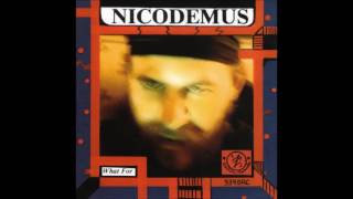 Nicodemus (US) - 12 - If I Stand Out In The Rain [bonus] (What For, 1980)