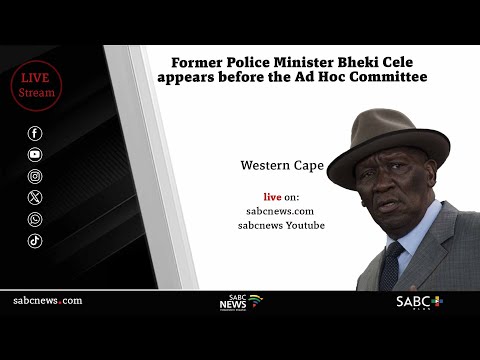 Parliament Ad Hoc Committee | Former Police Minister Bheki Cele