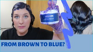 I USED THE NEW BLUE FOR BROWN HAIR OVERTONE ON MY DARK HAIR