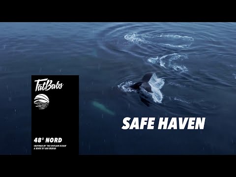 Fatbabs, Ian Urbina - Safe Haven (Visualizer)