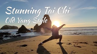 Tai Chi for Health and Happiness with Sifu Scott Jensen