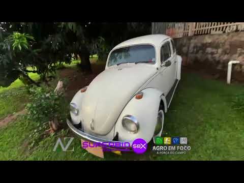 Volkswagen Fusca 1974 Original Motor 1300 Conservado Bagageiro Retrô Bancos em Curvin Pneus Bons - ID: #3514421