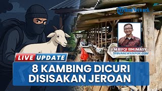 Sadis! 8 Kambing Warga Depok Jawa Barat Dicuri dan Disembelih, Sisakan Jeroan dalam Kandang