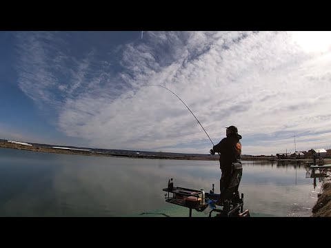 PURCARENI LAKE  😍 Crapi de Februarie 💪