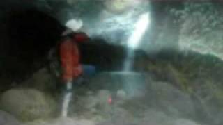 POOR LOVE  (POOR COW )      DONOVAN.