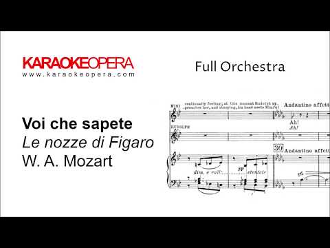 Karaoke Opera: Voi Che Sapete- Le Nozze di Figaro (Mozart) Orchestra only with printed music