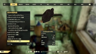 Fallout76