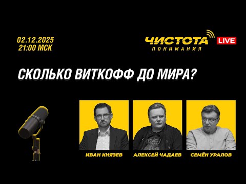 Чистота понимания LIVE // Тема: Сколько виткофф до мира?