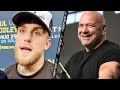 "IM KNOCKING HIM THE F*** OUT" JAKE PAUL THREATENS DANA WHITE! SAYS KO PUNCH IS COMING FOR HIM