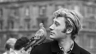 Johnny Hallyday - Les Coups (1966)