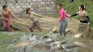 The Girls In The Countryside Pulled Nets To Harvesting Big Fish from Mud Pond, Go To Market Sell
