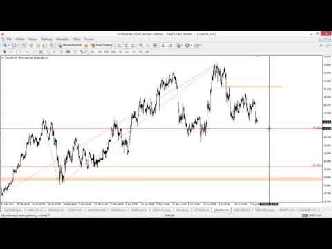 Poranek z rynkami - Damian Nowiszewski
