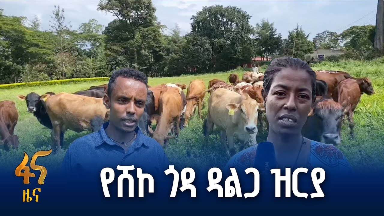 የመጥፋት አደጋ የተጋረጠበትን ዝርያ ማራባት