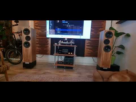 Shindo Monbrison, Shindo Montille cv391, Living Voice ibx-r2, Chord Qutest