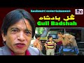 Gulli Badshah Gulzar Fighter Qayoom Badshah Khan Rainu Tanvir Kashmiri Drama Joke