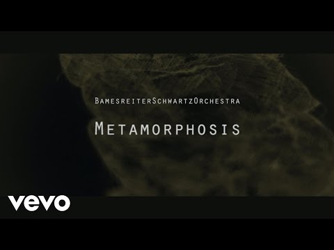 BamesreiterSchwartzOrchestra - Metamorphosis (Teaser)