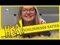 HEA! Schilderende ratten