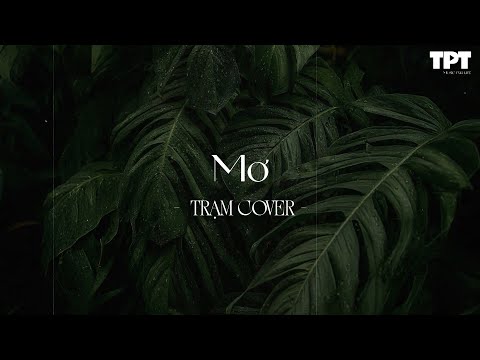 Mơ, Từng Là, Ngày Em Đẹp Nhất, Ngủ Một Mình - Những Bài Hát Cực Chill Gây Nghiện [Acoustic Cover]