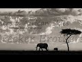 The Brecker Brothers ~ African Skies