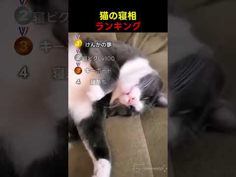 眠気には勝てなかった瞬間
