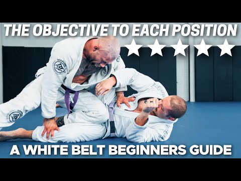 WHITE BELT POSITIONAL GUIDE || a must watch for newbies