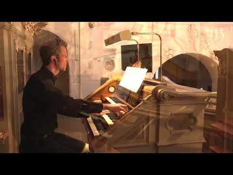 Alexander Bauer: "fields" für 2 Orgeln