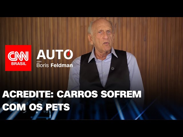 Carros sofrem com os pets, saiba como evitar os estragos | CNN Auto