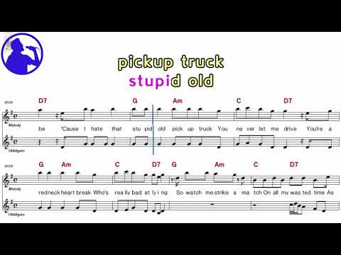 Picture to Burn - Taylor Swift