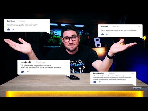 How Long Can an Aquascape LAST UP TO? | Aquascaping Q&A #2