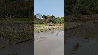 Download lagu Mahindra yuvo tech plus 575 47hd 4wheel drive, mud work. #viralvideo #shortsvideo #trending #tractor mp3