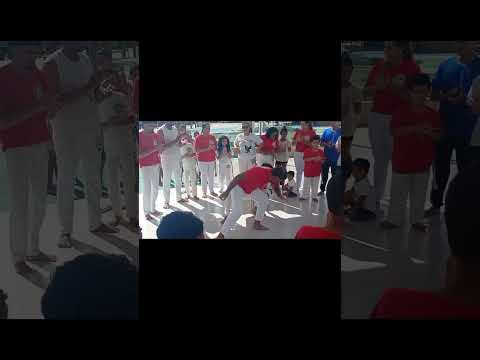 Roda De Capoeira Em Carneiros - AL