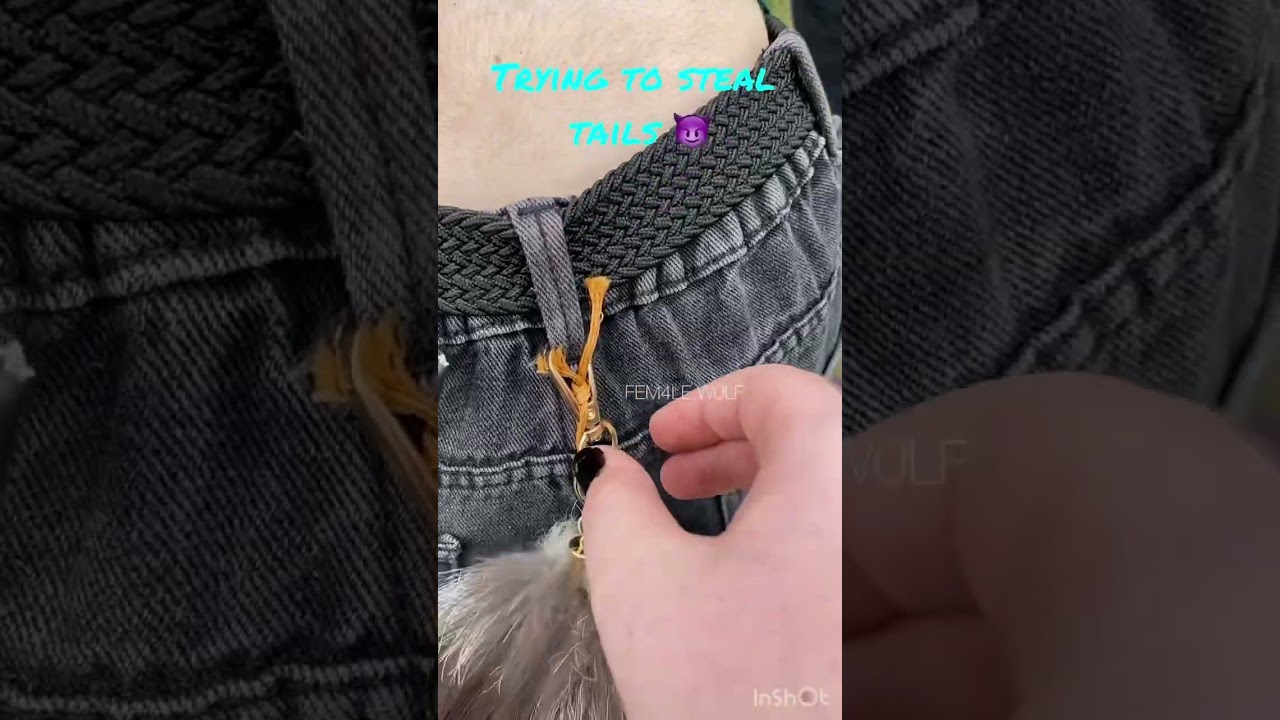 Therian meet ❤️#therians #quadrobists #alterhumans #therianfriends #meetup #meeting #meet