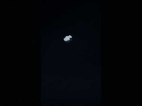 YouTube 썸네일