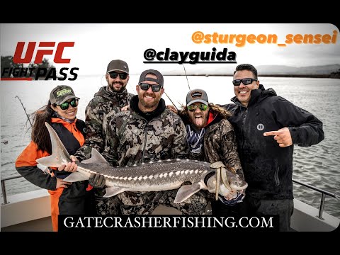Delta Sturgeon Fishing | UFC Fight Night | SF Bay Area