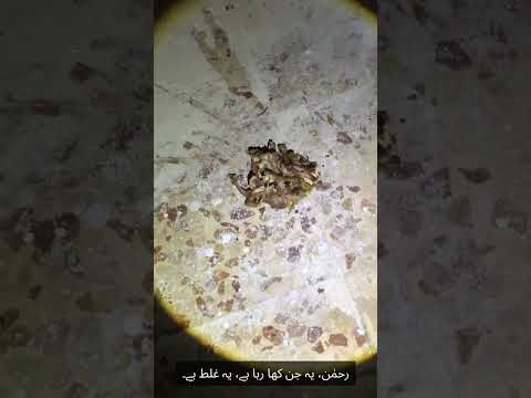 Neela Darwaza aur us kay Peechay Posheeda Raaz 😱 🔞