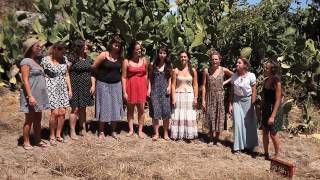 SOPA DE PEDRA   Adeus ó Serra da Lapa