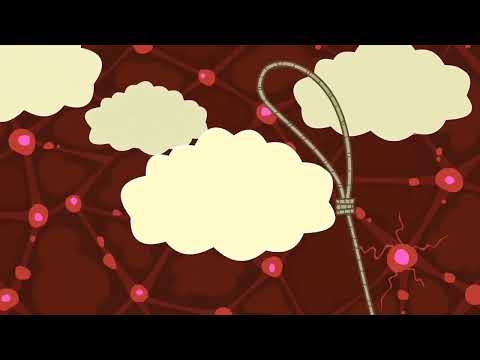 TOTAL DRAMA ALL STARS 🌟EPISODE 12 BOLD AND THE BOOTY PART 1