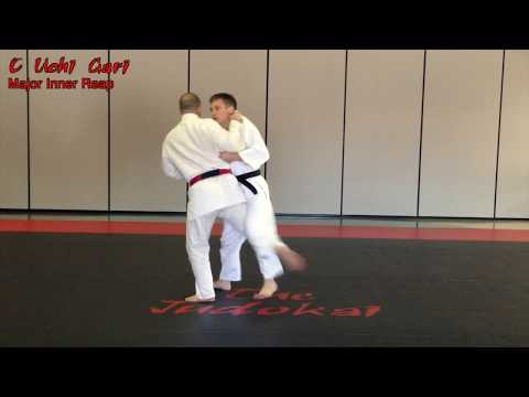 O Uchi Gari (大内刈) - Major Inner Reap