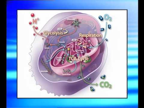 Potencies sociogenic มัน ขยายอวัยวะเพศชาย