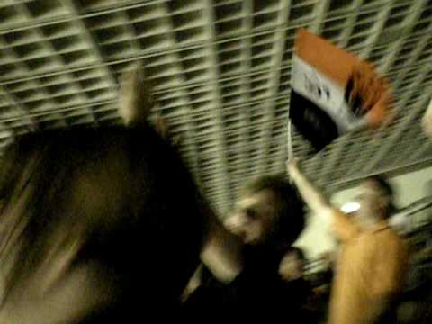 Langnau Fans in Graz