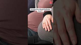 Download lagu Why Does a Pregnant Belly Look Small ⁉️ mp3