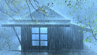 The Method of Sleeping Deeply with the Pouring Rain & Thunder Shaking on Rickety Tin Roof at Night