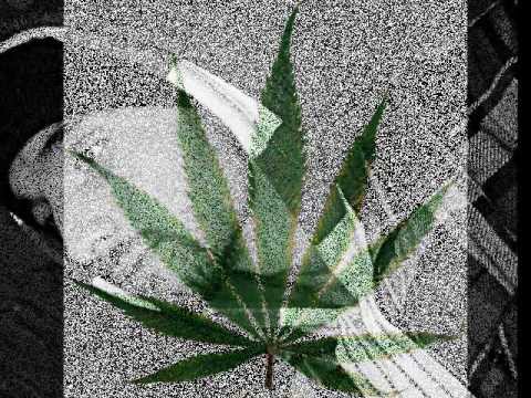 Hakky & Mr wolf - Smoke some weed