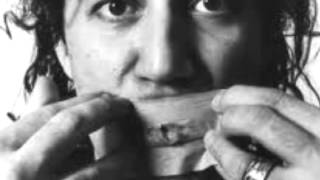 Area - L'elefante bianco