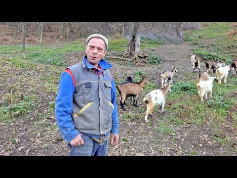 Nisam imao eksera kad sam se vratio, sad imam sve