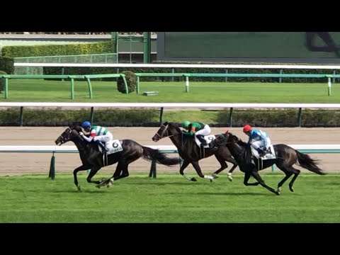 【現地】レヴォルタード J.モレイラ 3歳上1勝C