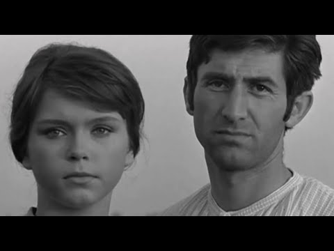 Neda Arnerić - Jutro (1967)