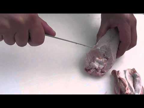 Passionate About Fish - How to skin and fillet a red gurnard