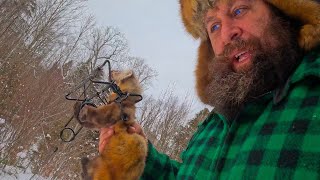 Off Grid Trapline in North Maine Woods
